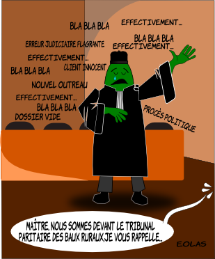 Maître Eolas est en pleine plaidoirie déchirante : au milieu d'un flot de paroles, habilement résumées par “bla bla bla”, on distingue moult “effectivement”, et les mots “nouvel Outreau”, “erreur judiciaire”, “client innocent” et “procès politique”. Une voix interrompt le maître en disant “Maître, je vous rappelle que nous sommes devant le tribunal paritaire des baux ruraux !” 